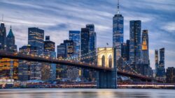 opioid animal sedative New York