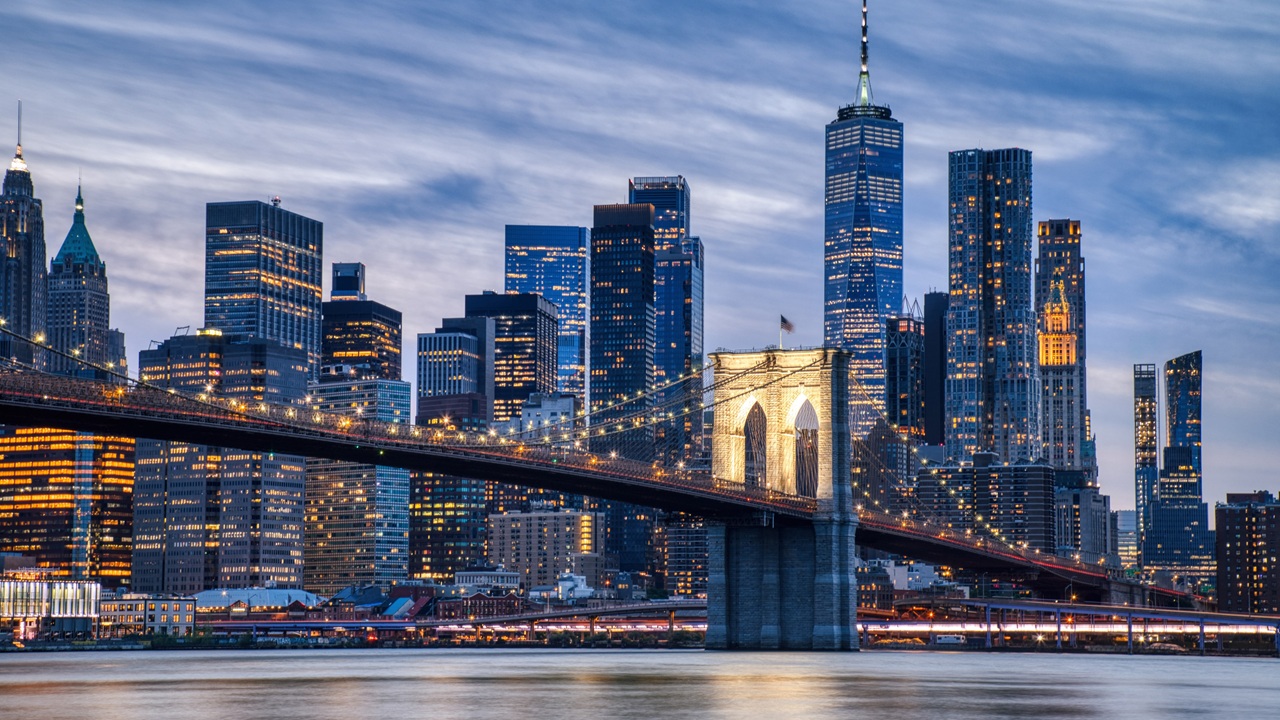 opioid animal sedative New York