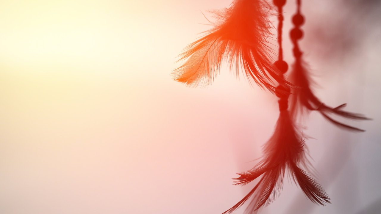 Cherokee nation opioid treatment