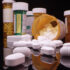 Florida opioid treatment recovery