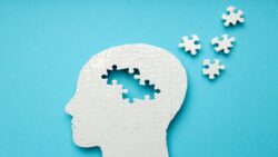 opioid brain's memory center