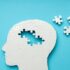opioid brain's memory center