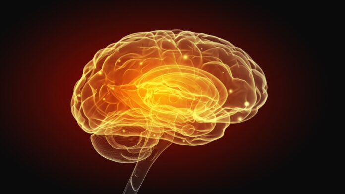 brain inflammation meth addiction