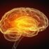 brain inflammation meth addiction