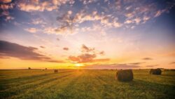 rural people drugs naloxone