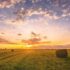 rural people drugs naloxone