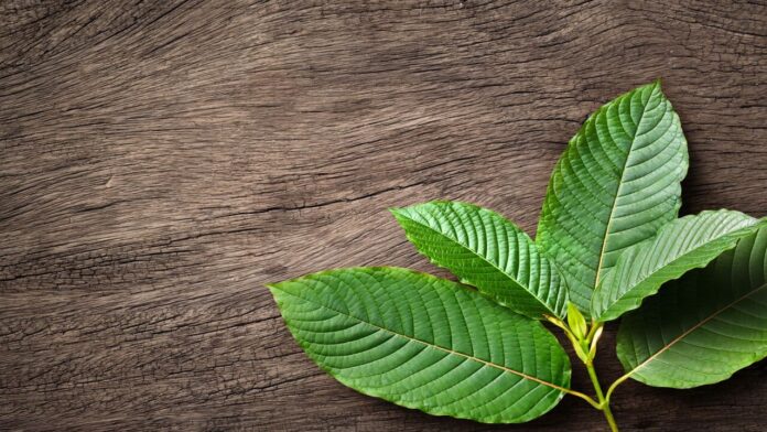 teen kratom use