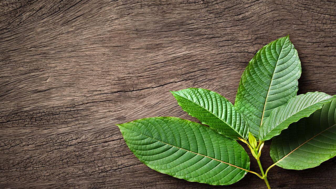 teen kratom use