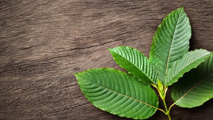 opioid addiction 7-oh kratom