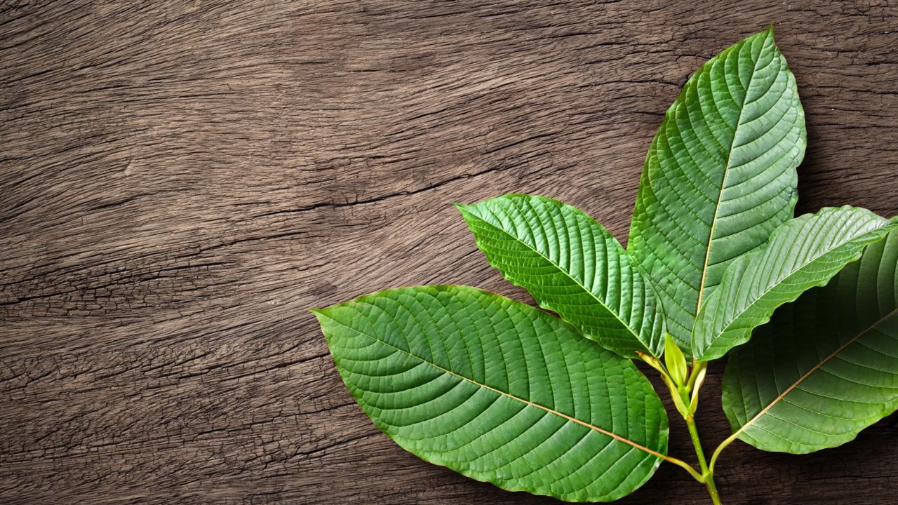 opioid addiction 7-oh kratom