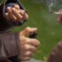 cannabis teen overdose deaths