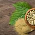kratom dea schedule 1