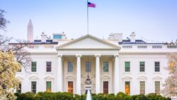 white house fentanyl analogues