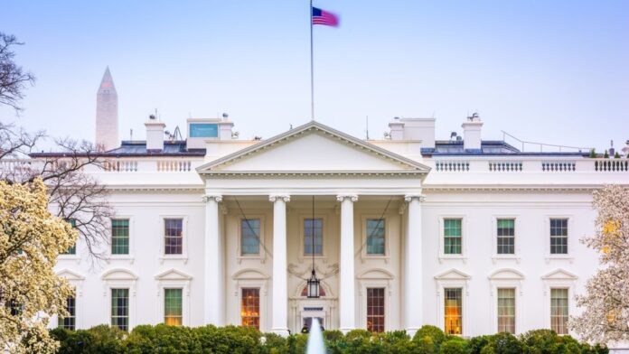 white house fentanyl analogues