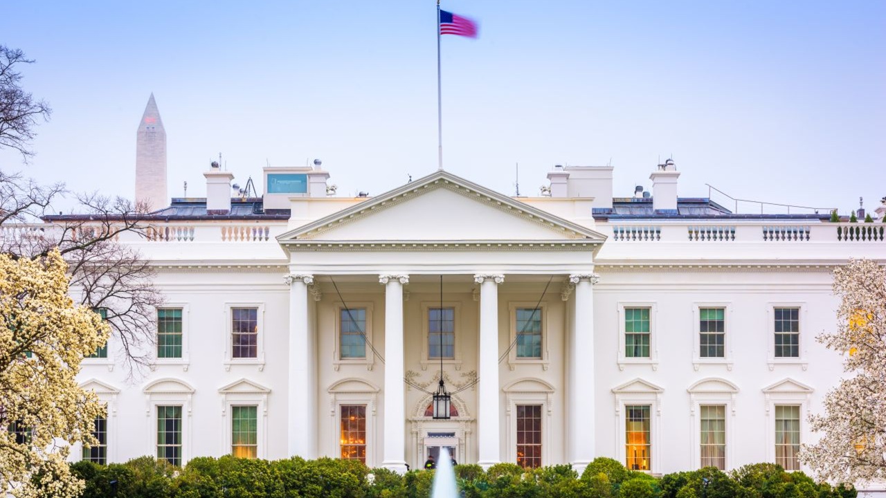 white house fentanyl analogues