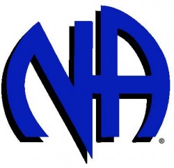 Narcotics Anonymous 12 Steps