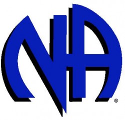 Narcotics Anonymous 12 Steps Program